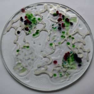 white holly and green berry